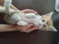 Paty 
