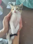 Paty 