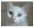 MAITÊ