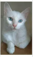 MAITÊ