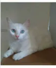 MAITÊ