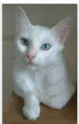 MAITÊ