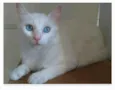 MAITÊ