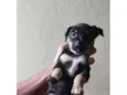 Lola