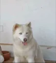Lucy