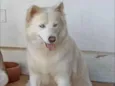 Lucy