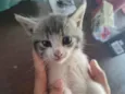 Paty 