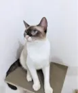 Mag