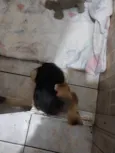 Não tem nome 