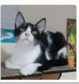 OTTO