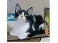 OTTO