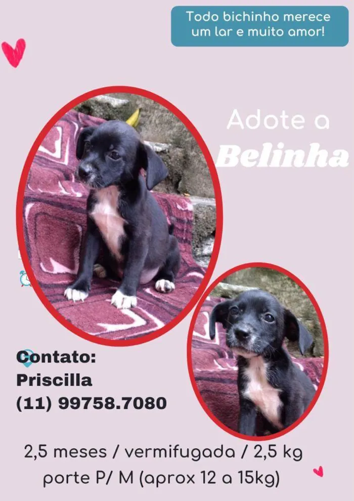 Belinha 