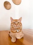 Miguel 
