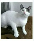 JOHN