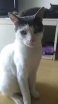 JOHN
