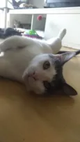 JOHN