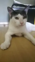 JOHN