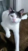 JOHN