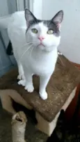 JOHN