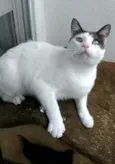 JOHN