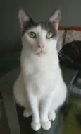 JOHN