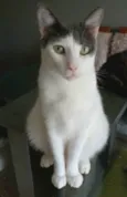 JOHN