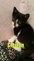 Cleiton