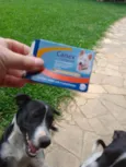 Princesa e Salsicha