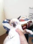 OTTO