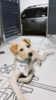 Lucky