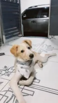 Lucky