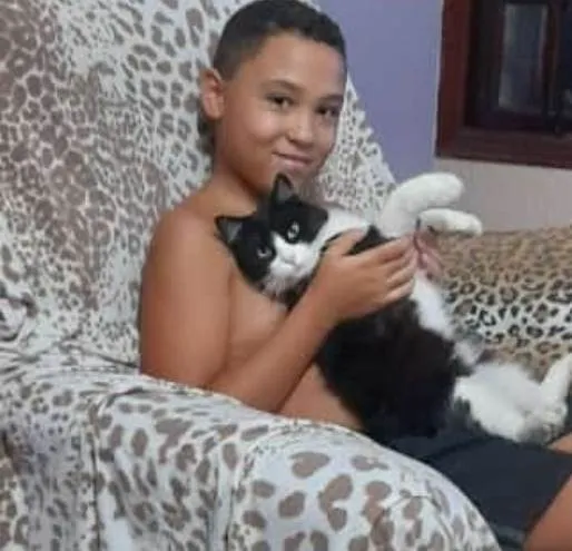 Gato raça Frajola idade 2 anos nome Migau