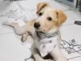 Lucky