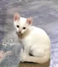 Sem nome ainda