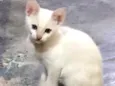 Sem nome ainda