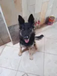 Nao sei
