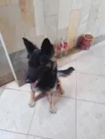 Nao sei