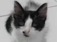 MAUÍ
