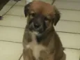 bob e estrelinha