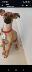 Não tem nome