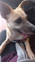 Lua