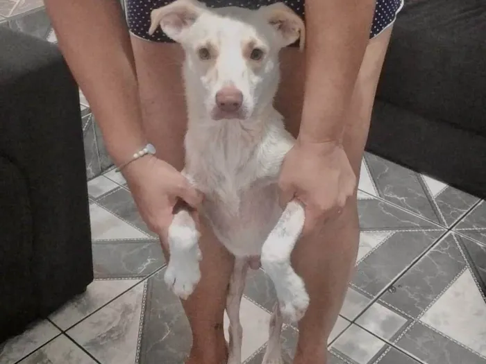 Zeus bb10meses 