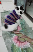 Floquinho
