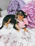 Ruby