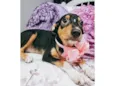 Ruby