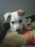 Desconhecido