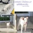 Não se sabe