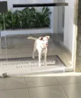 Não se sabe