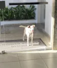 Não se sabe