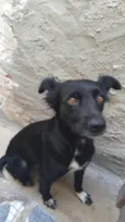 Malú